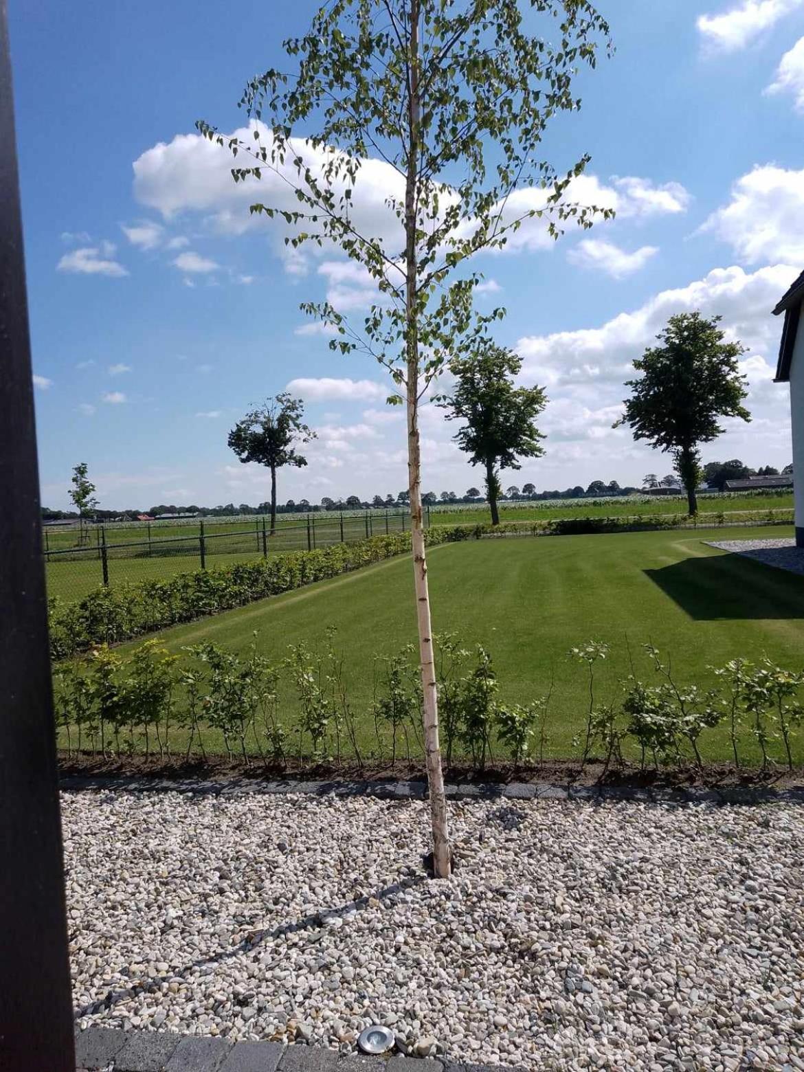 Ut Witte Huisje Venhorst Exterior photo